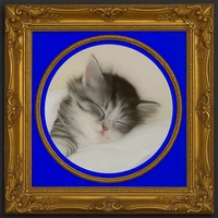 Chessie System Logo featuring a sleeping kitten mascot